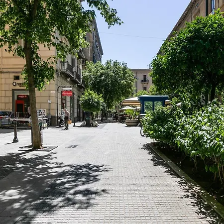 Guesthost - Nothotel Palermo Central Bright Apartment-3